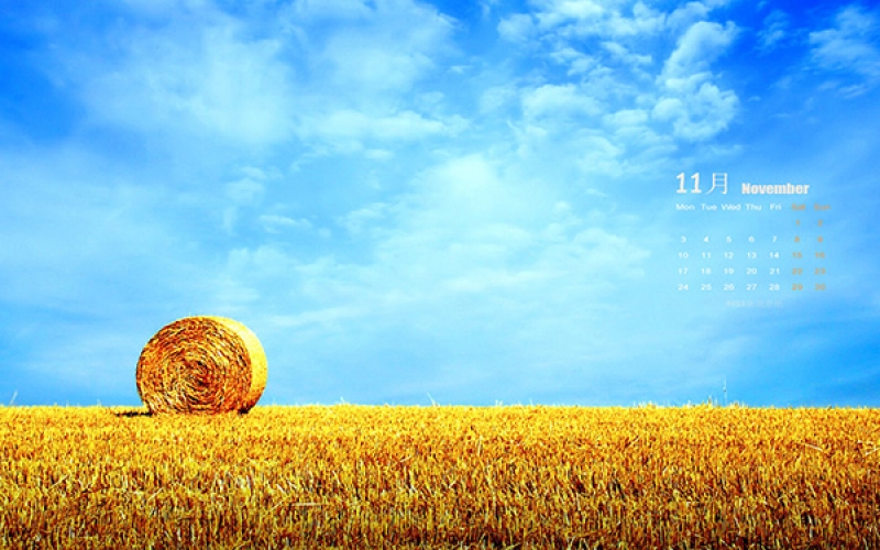 澳彩(中国)汇绿丨TMOON实验室高端装备 · 深秋十一月